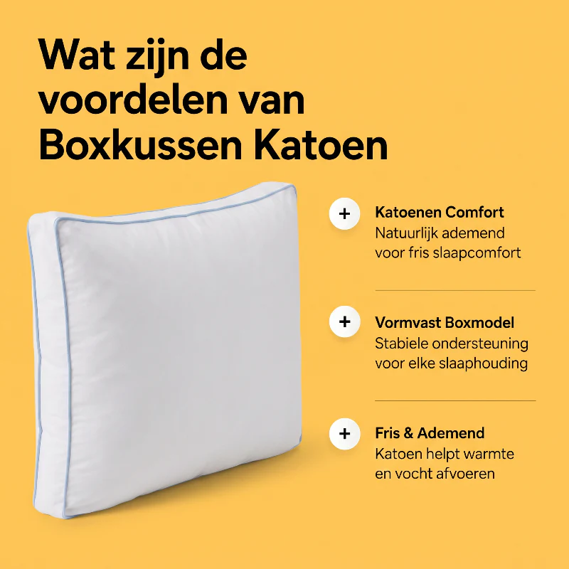 Productafbeelding 6