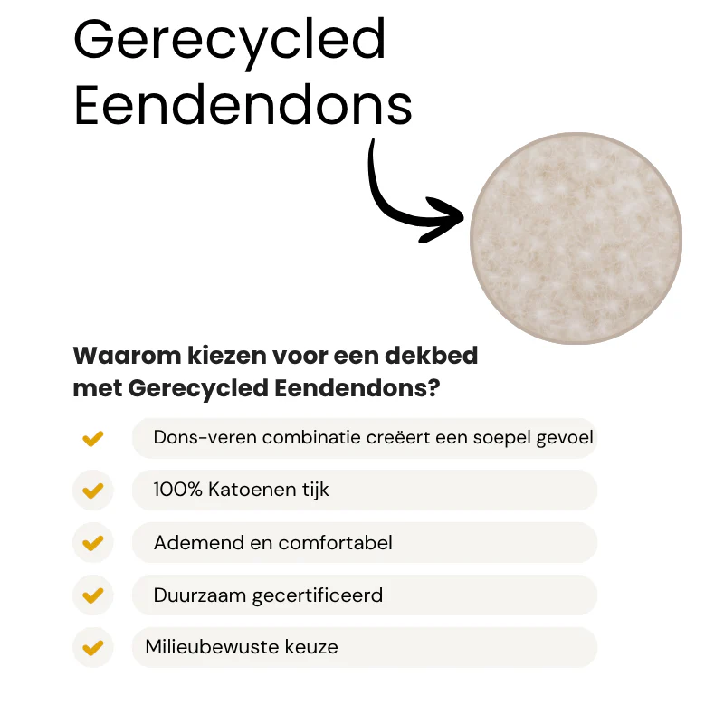 Productafbeelding 3